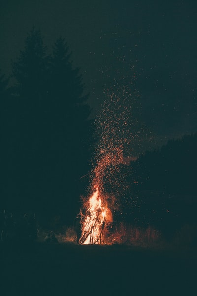 燃烧木材在晚上
